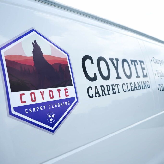 Residential & Commercial Carpet Cleaning in Tennessee | Best Local TN Carpet Cleaners